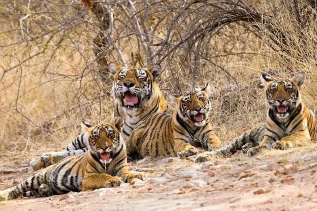 Untitled-design-13 (1)